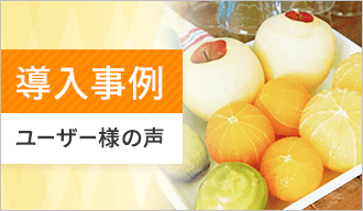 導入事例