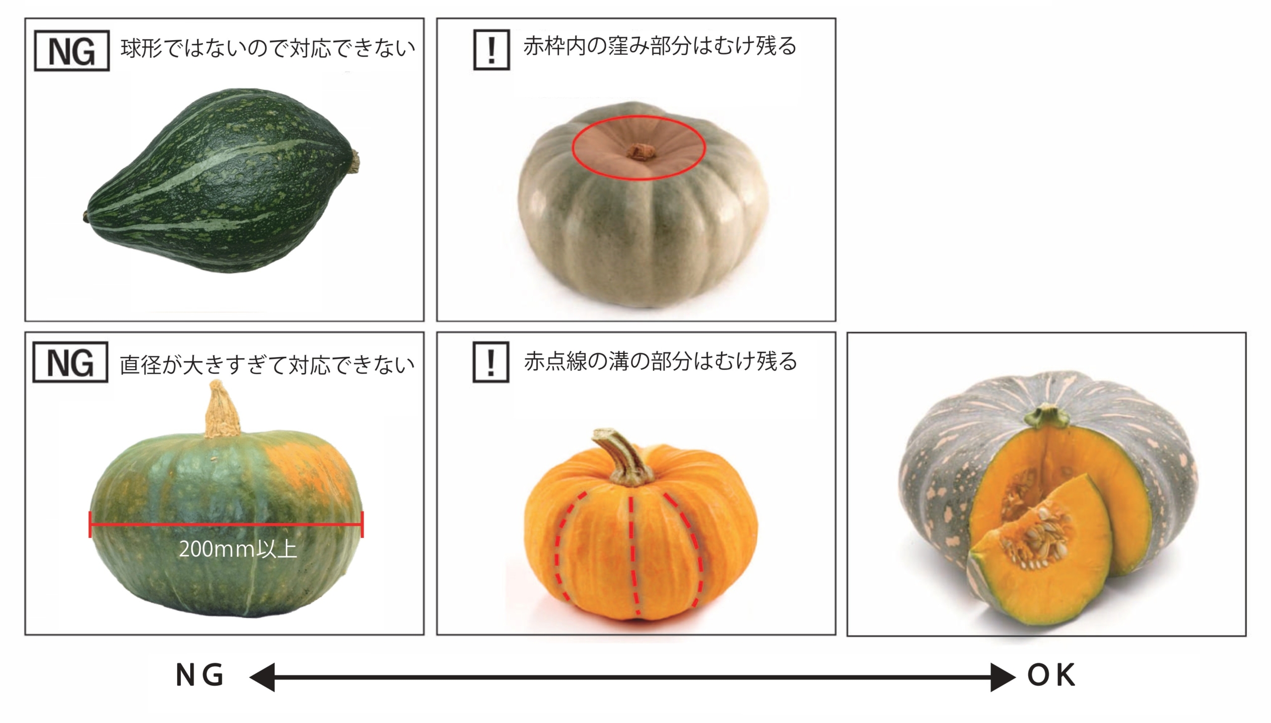 大助の対応サイズを示すカボチャの例