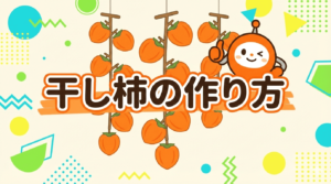 アストラの機械で皮を剥き吊るされた干し柿のイラスト。ヘタの処理と瞬助くんが描かれた作り方解説画像。