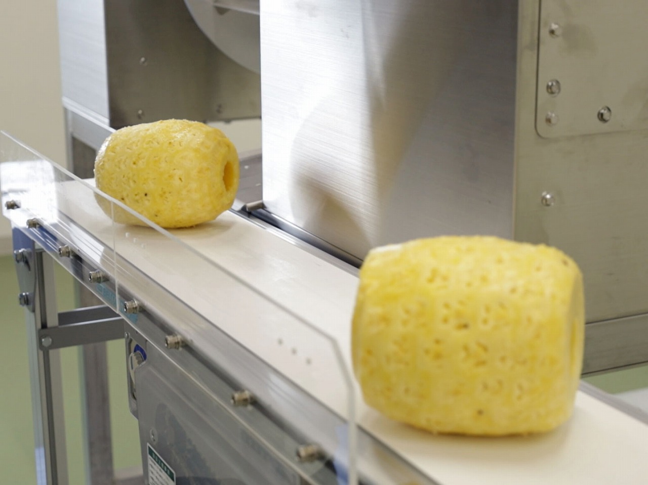 ベルトコンベアーで排出されるパイナップル