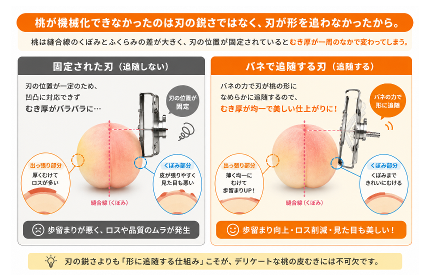 桃の皮むきの比較図。刃の位置が固定された機械は縫合線のくぼみで皮が残り、ふくらみでは厚くむけてロスが出る。バネで刃が形に追随する機械はむき厚が均一になり、歩留まりが上がる
